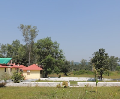 Windsor Tiger Resort